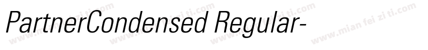 PartnerCondensed Regular字体转换